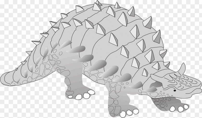Dinosaur Ankylosaurus Triceratops Stegosaurus Clip Art PNG