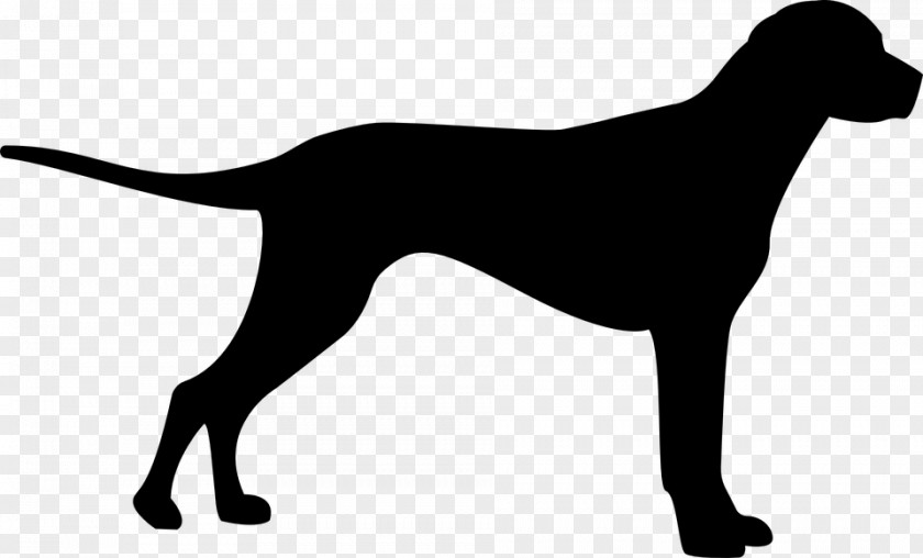 Dogs Running Great Dane Pet Dog Grooming Cat Food Puppy PNG