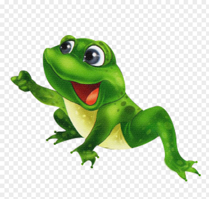 Frog Photography Clip Art PNG