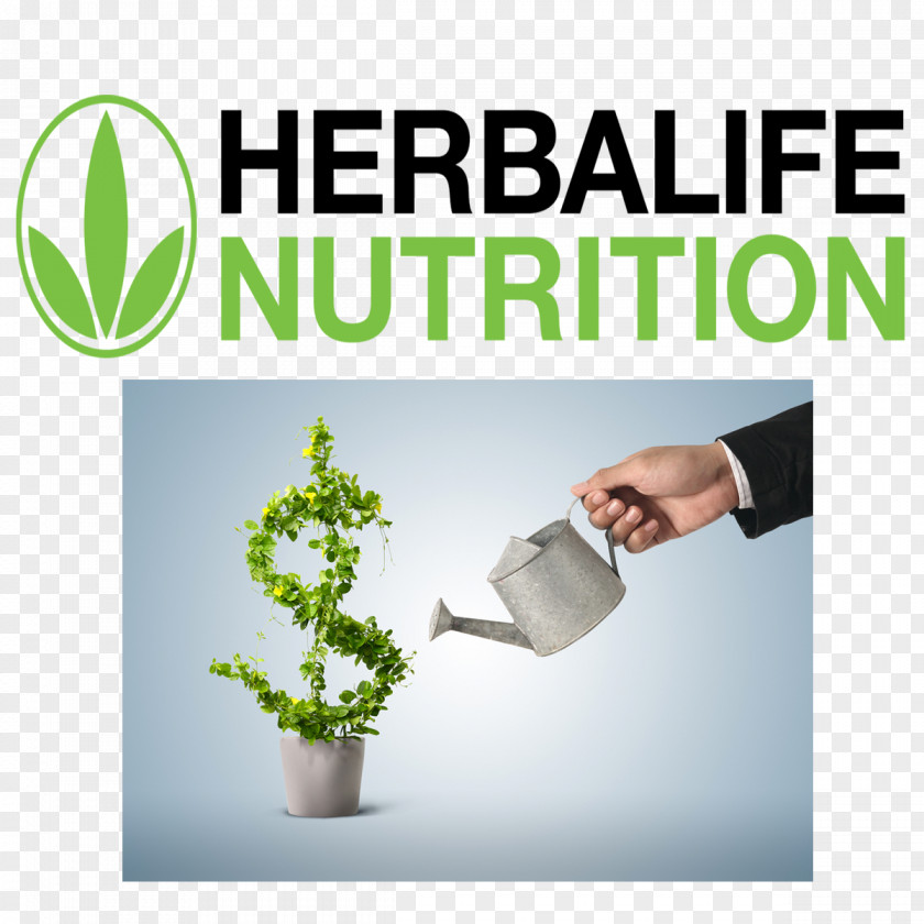Herbalife Nutri Club Vie Financière Business Flowerpot PNG