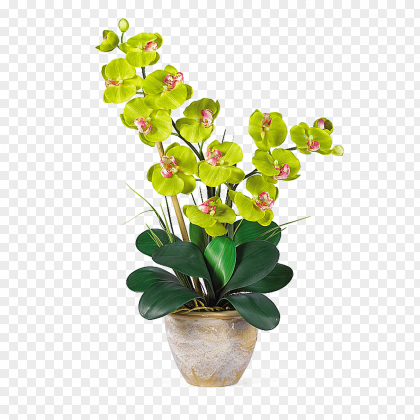Hydrangea Moth Orchids Artificial Flower Plant Stem PNG