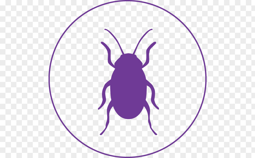 Infestation Building Pest Insect Clip Art PNG