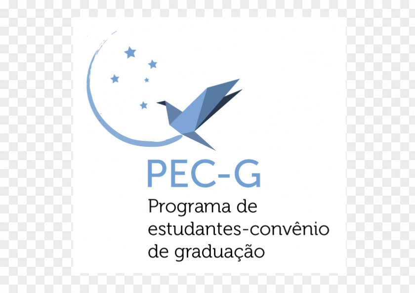 Mre Embassy Of Brazil, Asunción Federal University Santa Catarina Institute Culture Brazil Colombia Bogotá Buenos Aires PNG