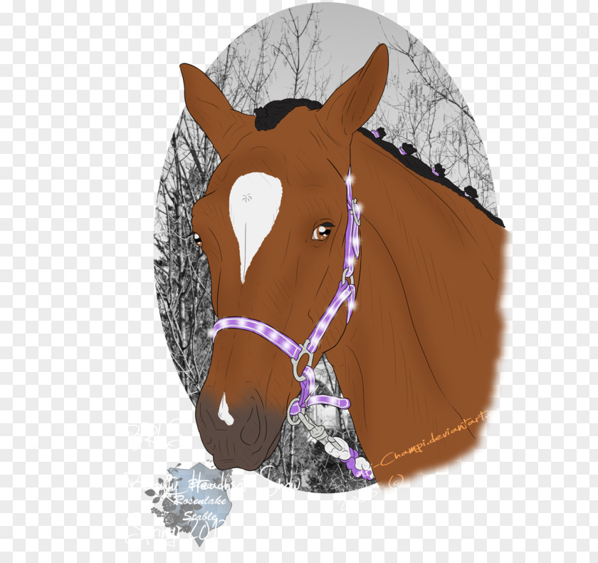 Mustang Halter Rein Bridle Pack Animal PNG