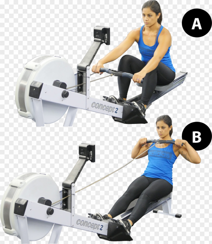 Barbell Weight Training Indoor Rower Weightlifting Machine PNG