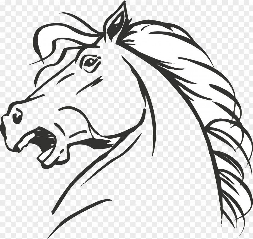 Horses Clipart Thoroughbred Peruvian Paso Colt Foal Coloring Book PNG