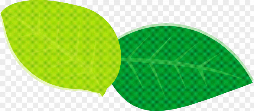 Leaf Green Font Meter Science PNG