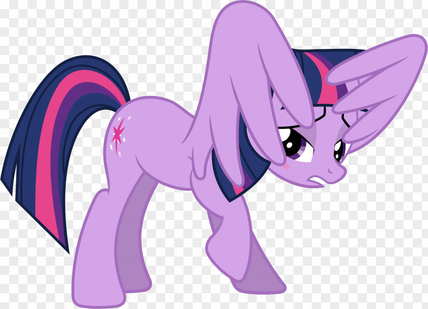 My Little Pony Twilight Sparkle Rainbow Dash Pinkie Pie Rarity PNG