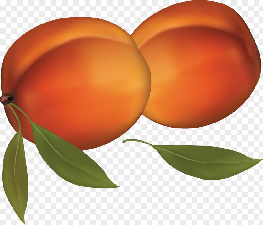 Peach Image Fruit Clip Art PNG