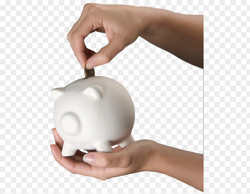 Save Piggy Bank Domestic Pig Coin PNG