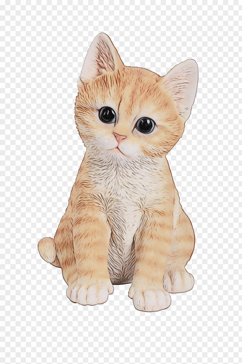 Tabby Cat Kitten Felidae Cuteness PNG