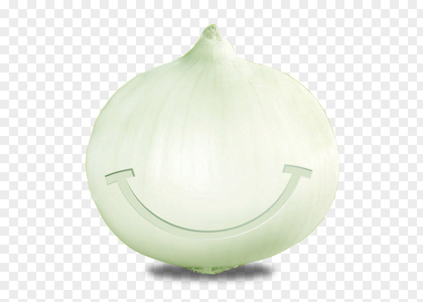 Cebolla Product Design Vegetable PNG