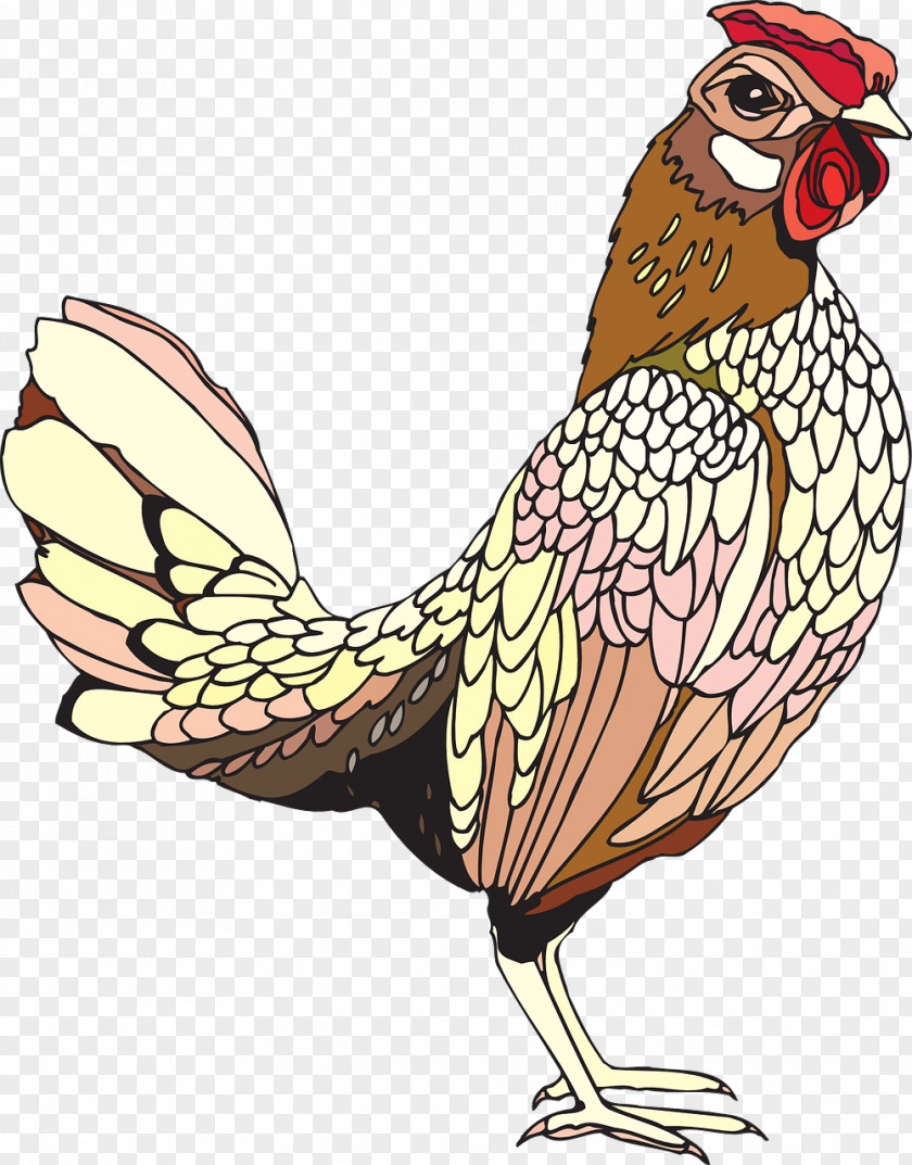 Cock Solid White T-shirt Rooster Hoo Hey How Clip Art PNG