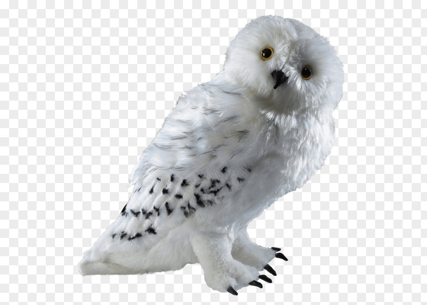 Owl Tattoo Garrï Potter Hermione Granger Rubeus Hagrid Crookshanks Fantastic Beasts And Where To Find Them PNG