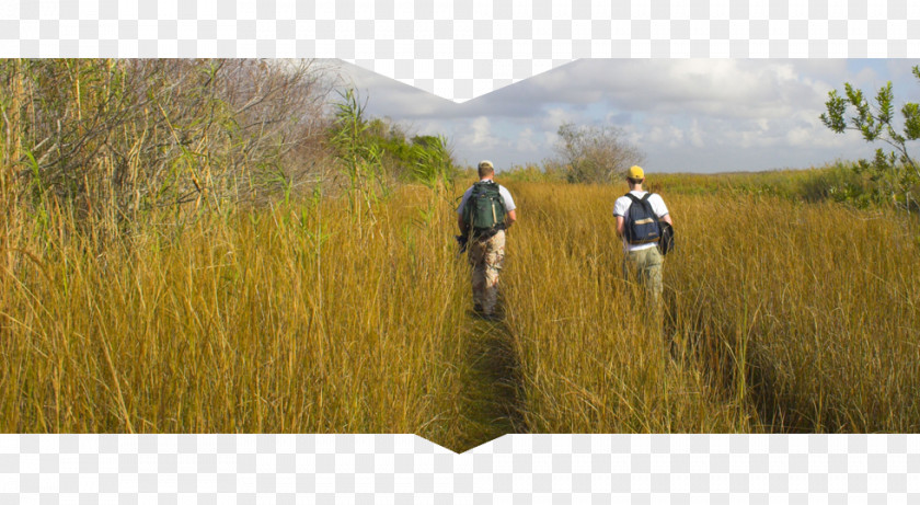 Park Everglades National Hiking PNG