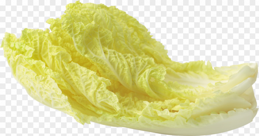 Salad Leaf Vegetable PNG