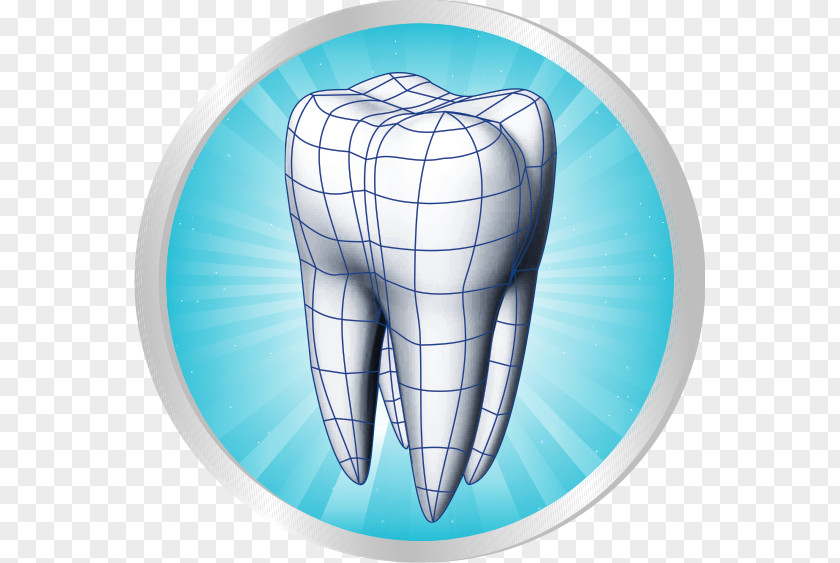Smile Human Tooth Dentistry Scientific Modelling Periodontium PNG