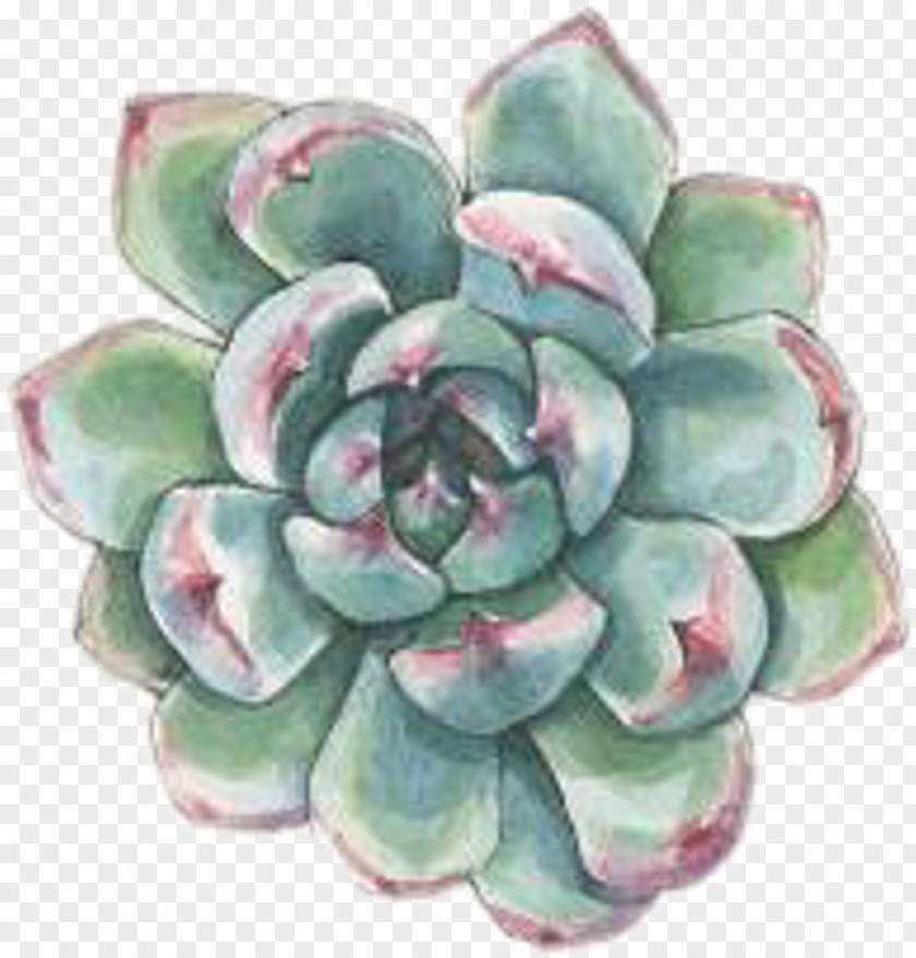 Succulent Transparent key Watercolor Painting Plant Drawing Cactus PNG