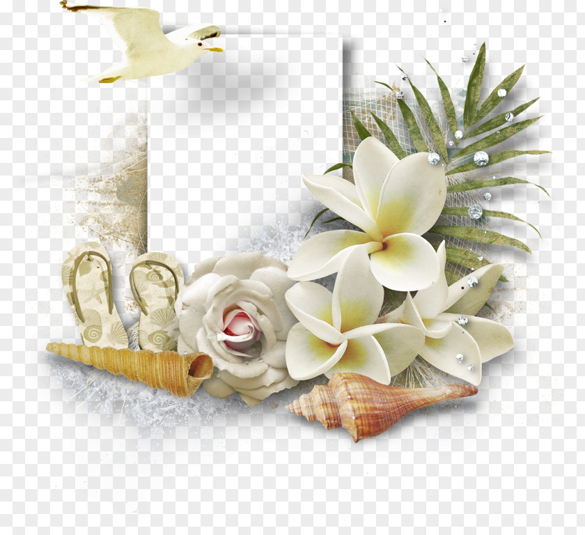 Beach Floral Design Resort Vacation PNG