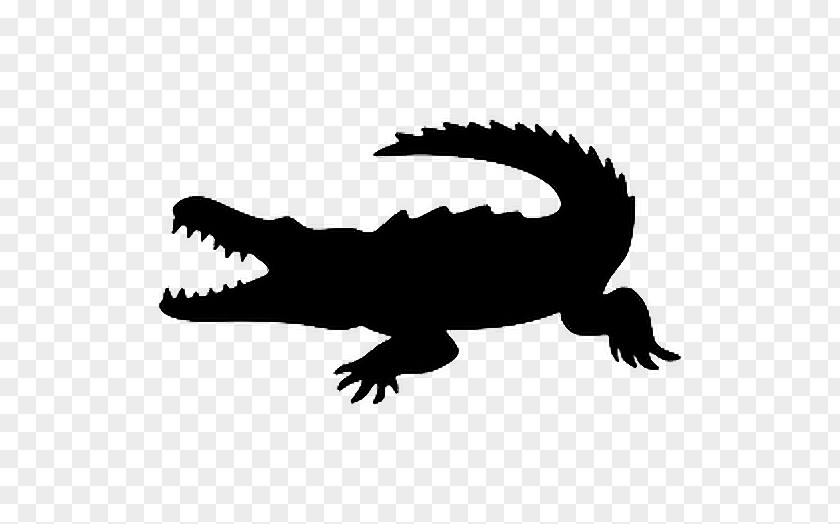 Crocodile Alligators Clip Art Vector Graphics Image PNG