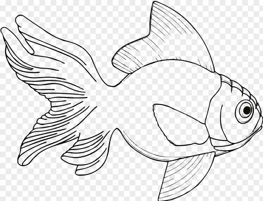 Ikan Koi Drawing Fish Coloring Book Clip Art PNG