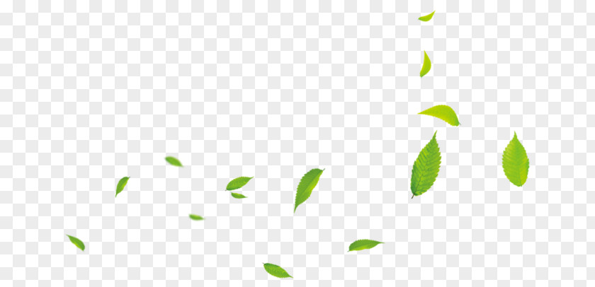Small Green Leaves 0 Cartoon PNG