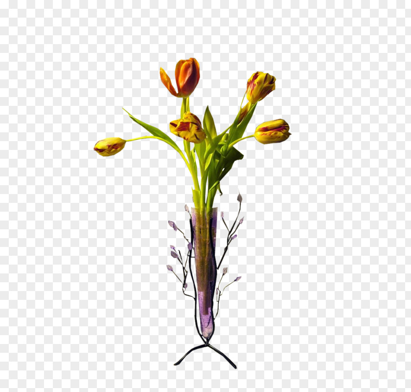 Vase Art PNG