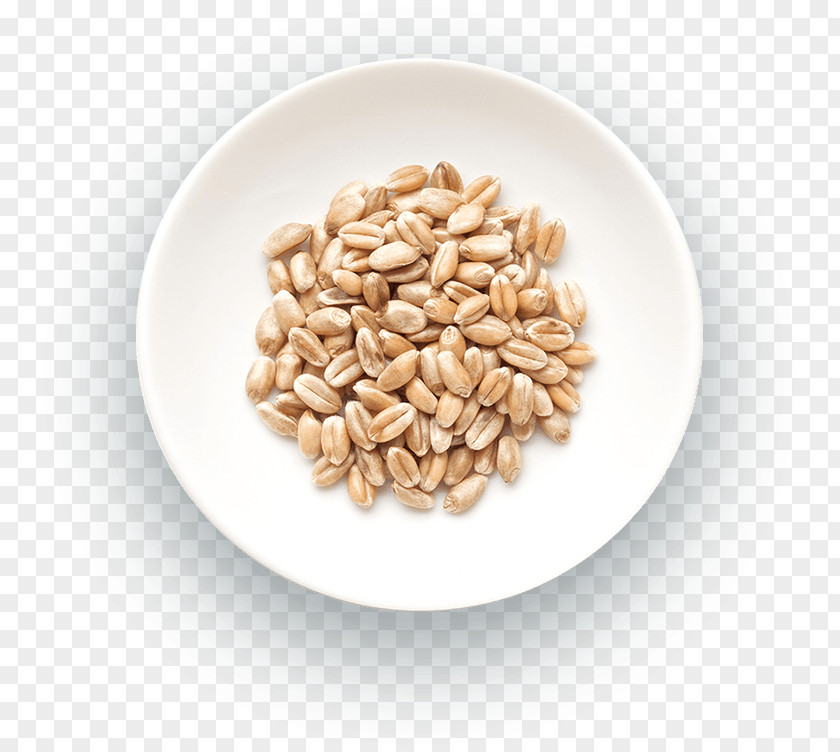 Wheat Atta Flour Cereal Gristmill PNG