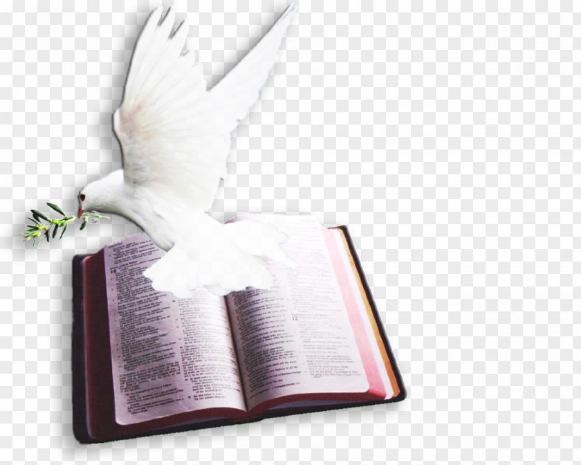 God Chapters And Verses Of The Bible Psalms Doves As Symbols Pigeons PNG