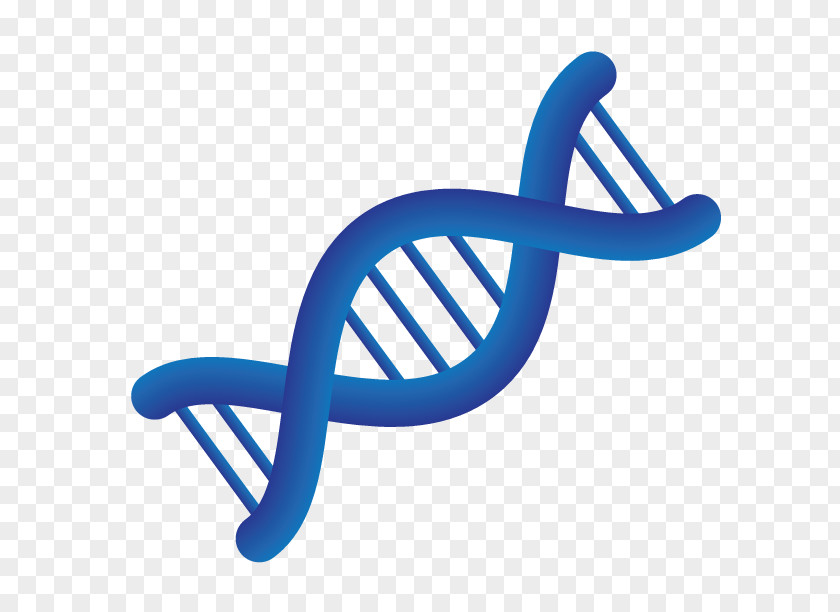 Medical Genetics Personalized Medicine Chromosome PNG