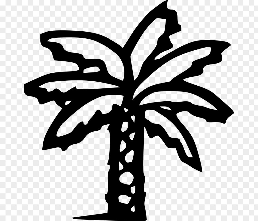 Palm Circle Arecaceae Clip Art PNG