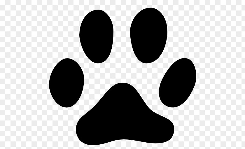 Cat Footprints Black Kitten Dog PNG