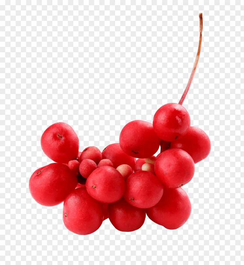 Cranberry Five-flavor Berry Zante Currant PNG