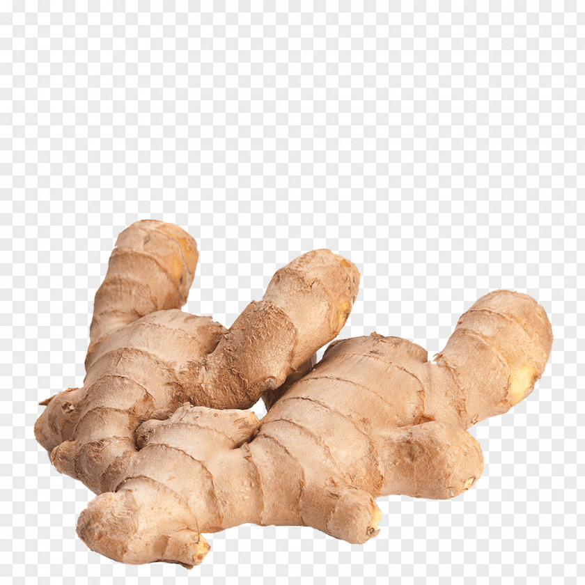 Ginger Rhizome Extraction Officinalis PNG