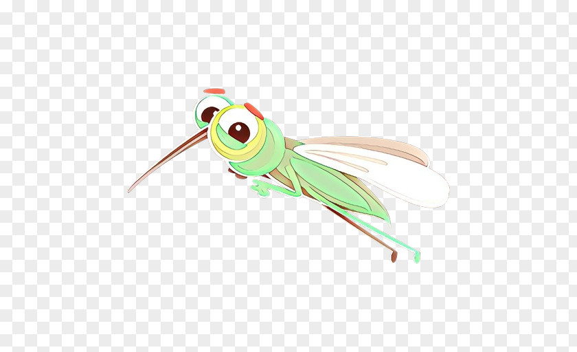 Fly Cicada Insect PNG