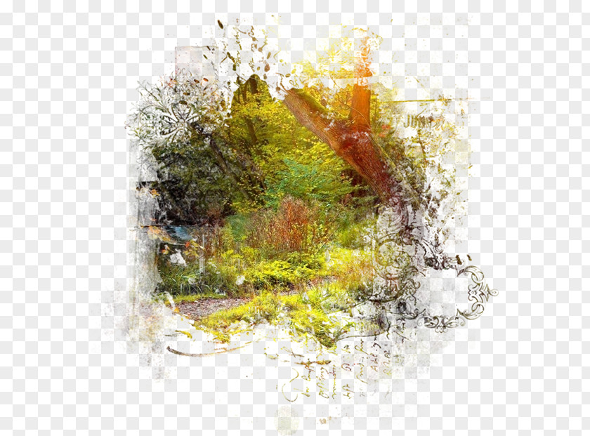 Landscape Paintings Painting Drawing Clip Art PNG