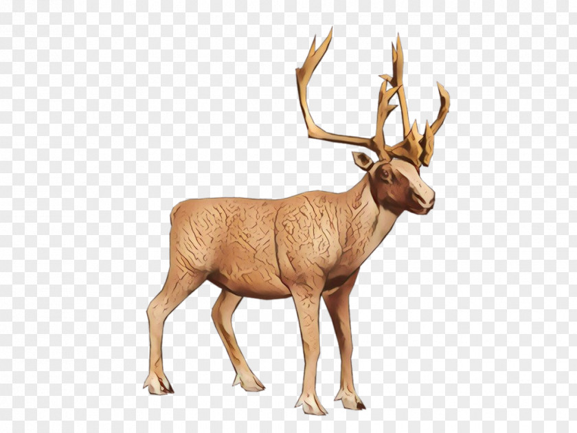 Moose Fawn Reindeer Cartoon PNG