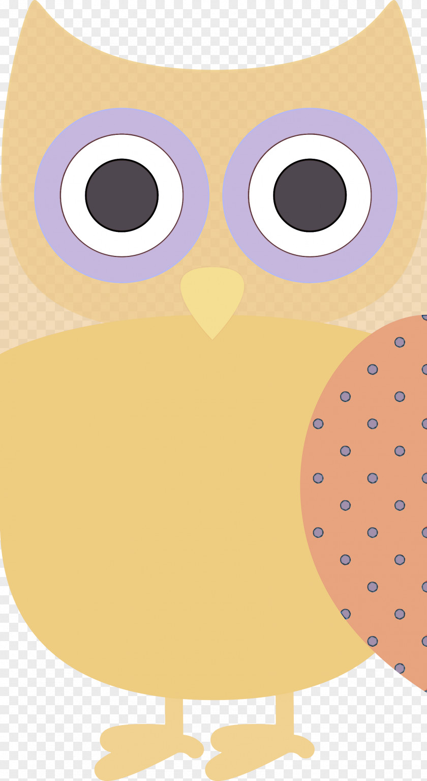 Owls Beak Snout Cartoon Meter PNG