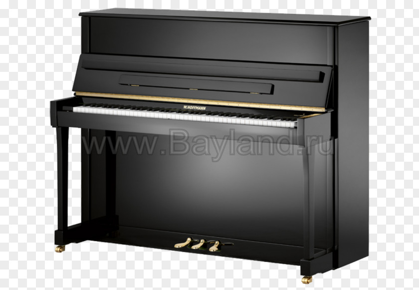 Piano Upright C. Bechstein Grand Grotrian-Steinweg PNG