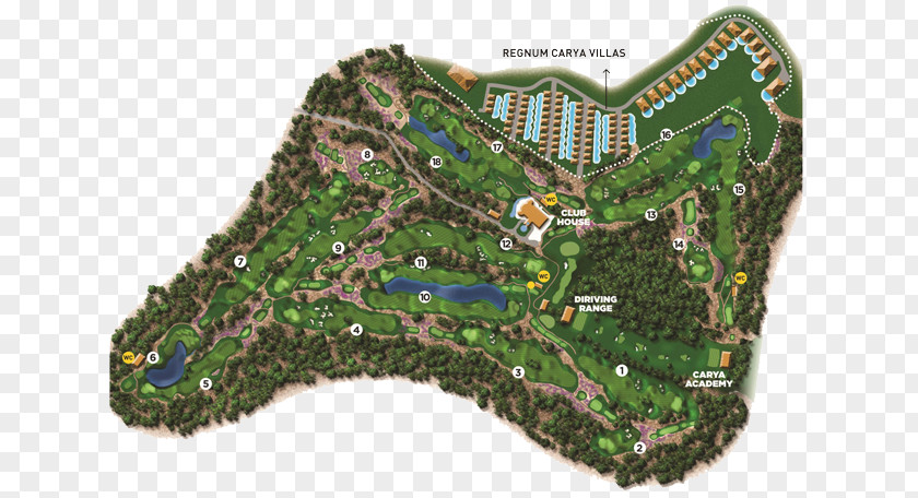 Shinnecock Hills Golf Club Walton Heath Regnum Carya & Spa Resort Wentworth Old Course PNG