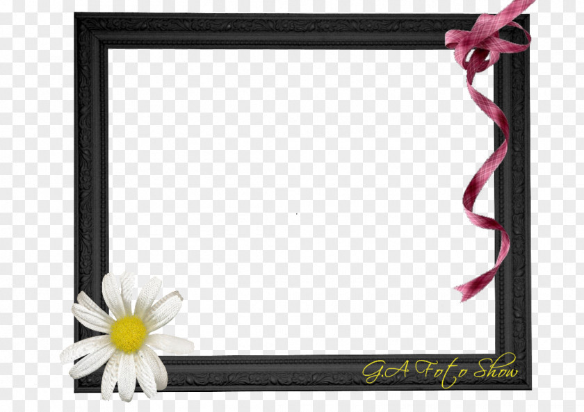 Bolt Disney Picture Frames Cut Flowers Rectangle PNG