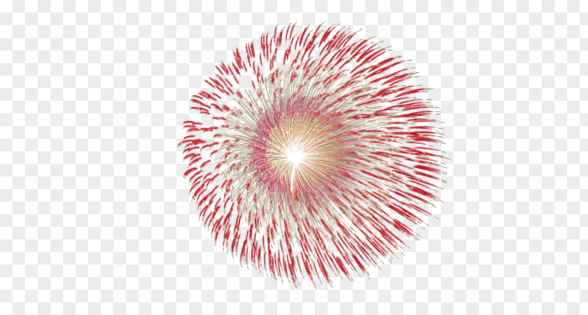Round Festive Fireworks Adobe Icon PNG