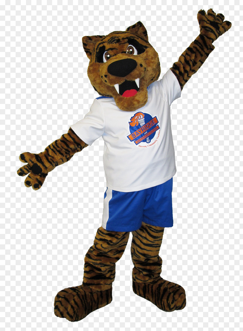 School Mascot National Secondary Costume College PNG