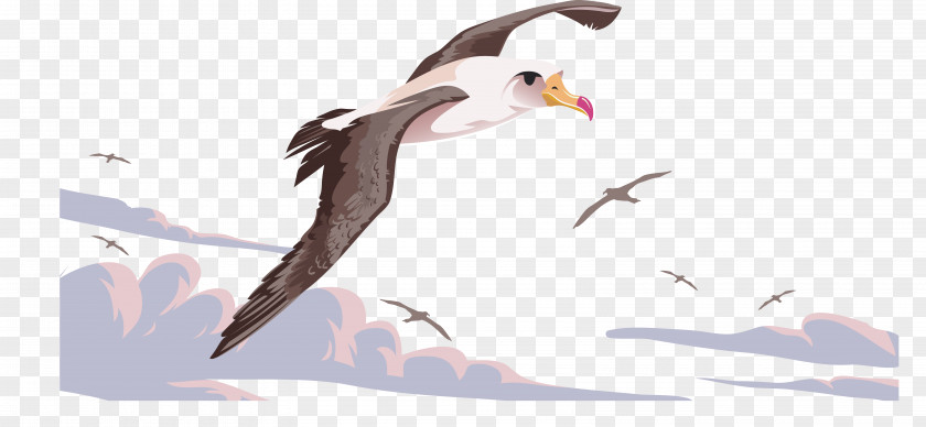The Flying Crane Bird Flight Beak Albatross PNG