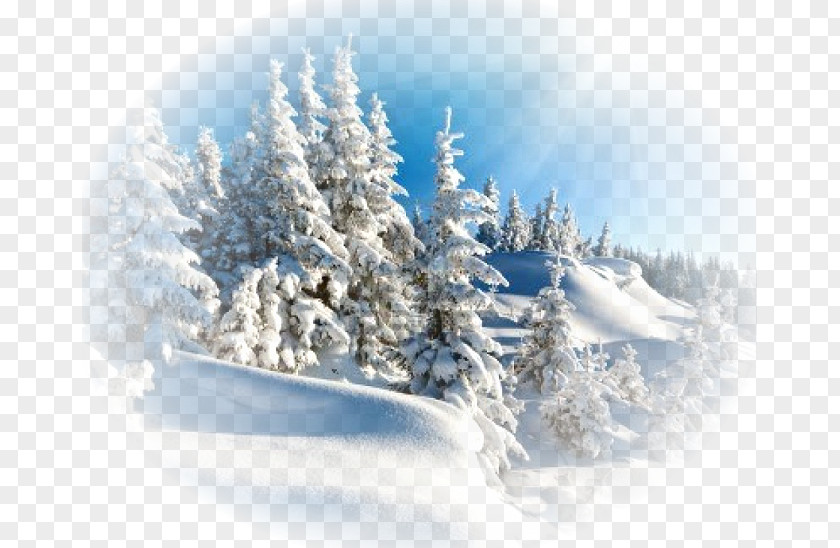 Winter Desktop Wallpaper Snow Clip Art PNG