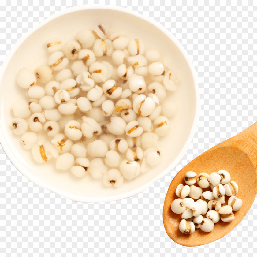 Barley MI Ren Popcorn Xiaomi Adlay PNG