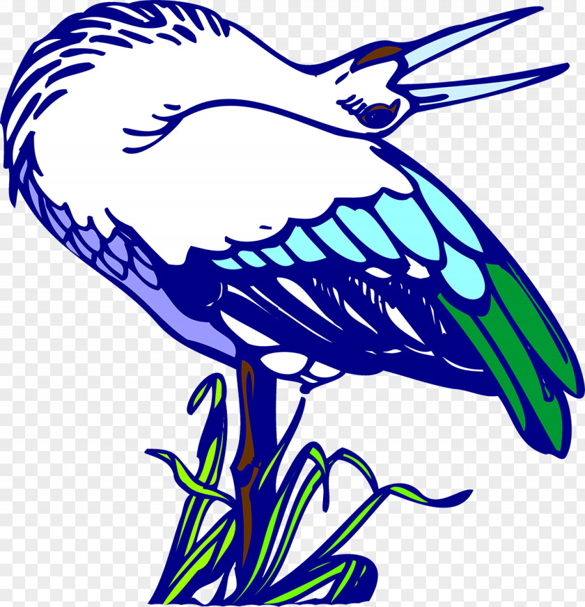 Birds Bird Line Art PNG