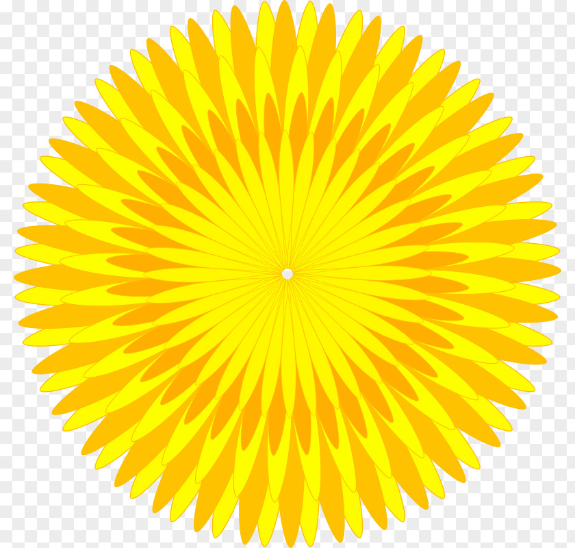 Dandelion Common Yellow Clip Art PNG