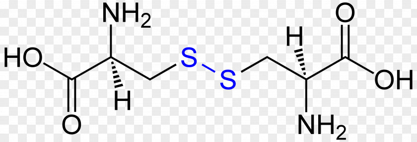 Formula Cystine Cysteine Methionine Chemical Substance CAS Registry Number PNG