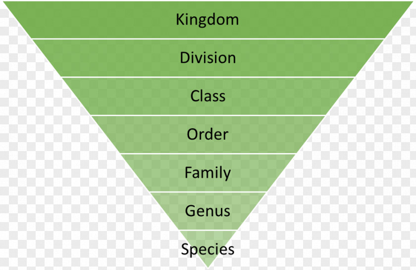 Garbage Classification Recycling Reuse Waste Hierarchy Marketing PNG